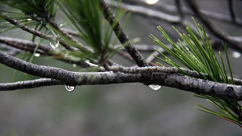Сильный ветер и осадки: прогноз погоды на Сахалине и Курилах на 10 апреля