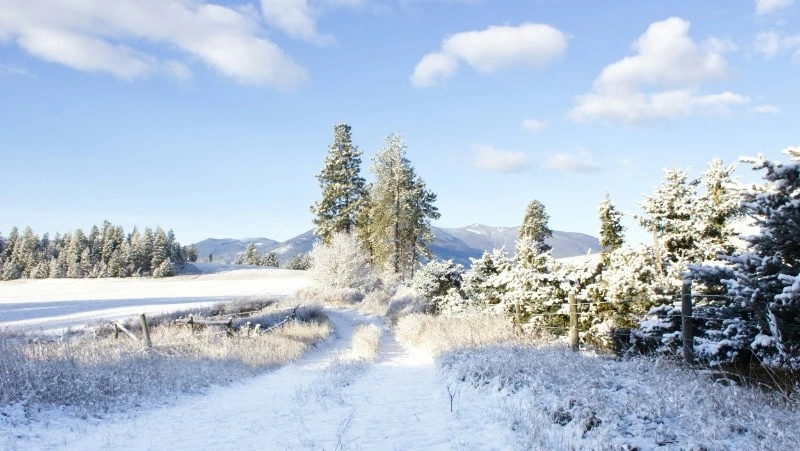 Плюсовые температуры ожидаются на Сахалине и Курилах 14 февраля