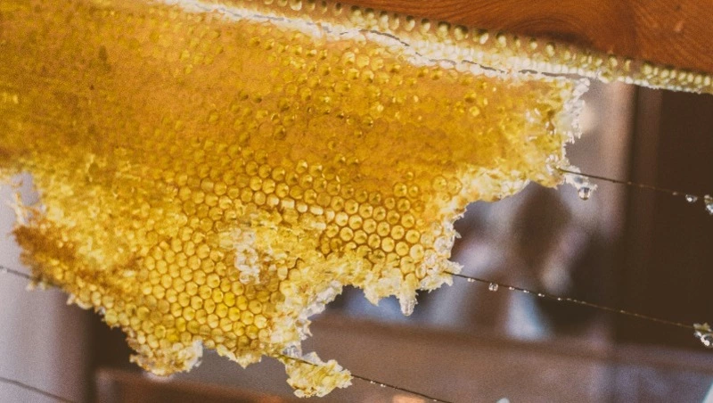 Народные приметы на 14 августа 2024: что можно и нельзя делать на Медовый Спас