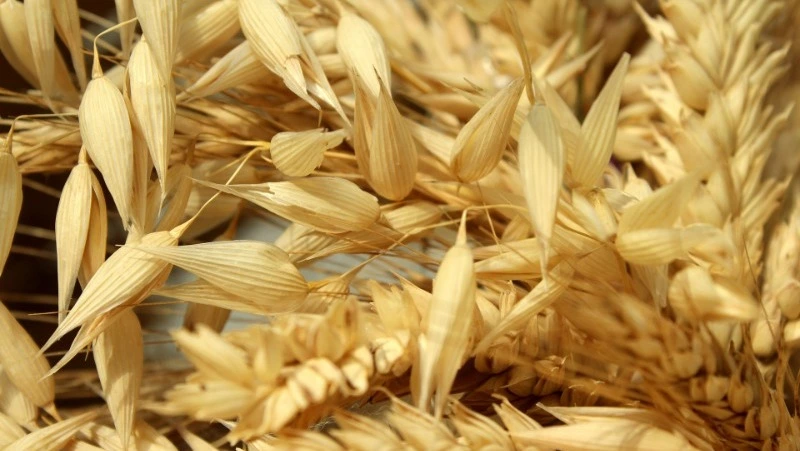 Народные приметы на 7 мая 2024 года — что нельзя делать в этот день