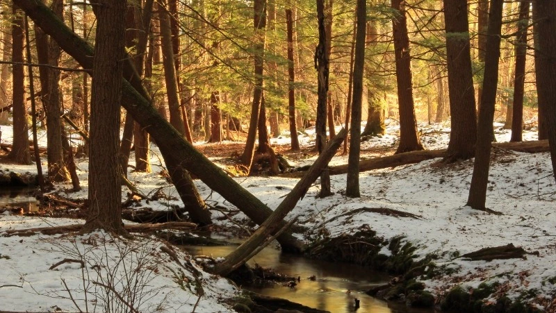 Народные приметы на 14 марта 2024 года: что нельзя делать в этот день