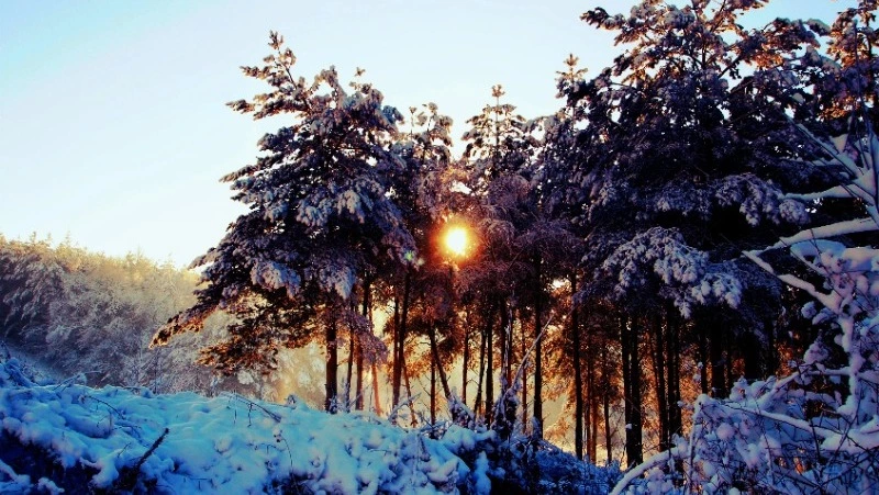 Северо-западный ветер и снег: прогноз погоды на Сахалине и Курилах 6 февраля