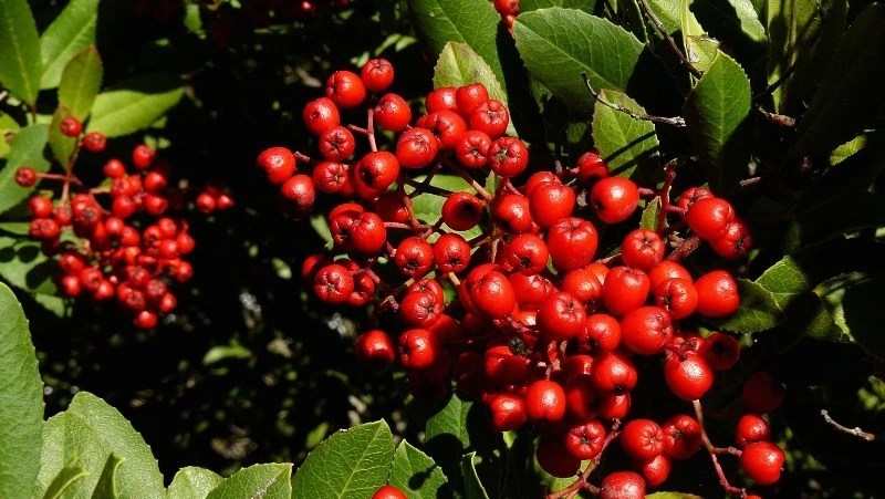 Народные приметы на 25 мая 2024 года — что нельзя делать в этот день