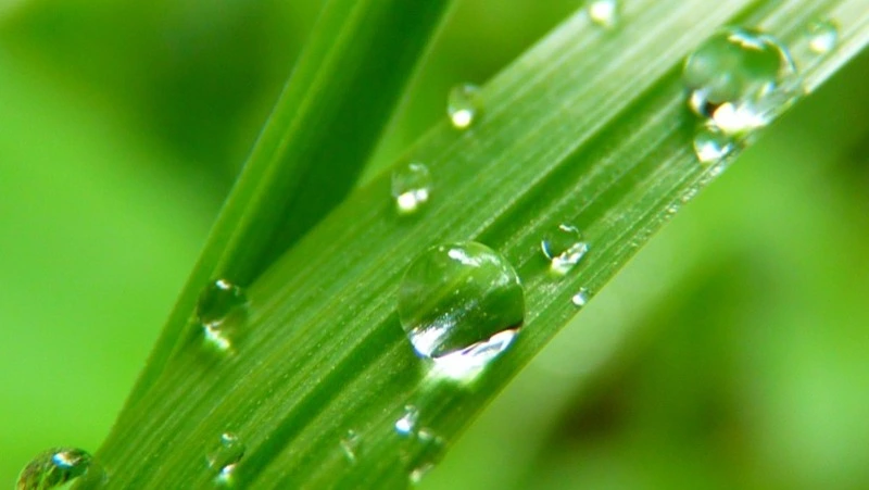 Церковный праздник 19 июля 2024: что строго нельзя делать, приметы