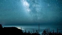 Гороскоп на 25 декабря 2023 года для каждого знака зодиака