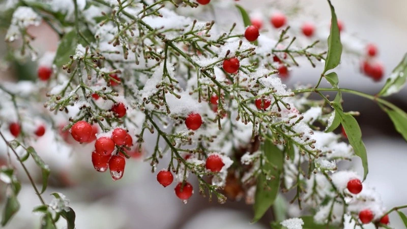 Народные приметы на 3 апреля 2024 года — что нельзя делать в этот день