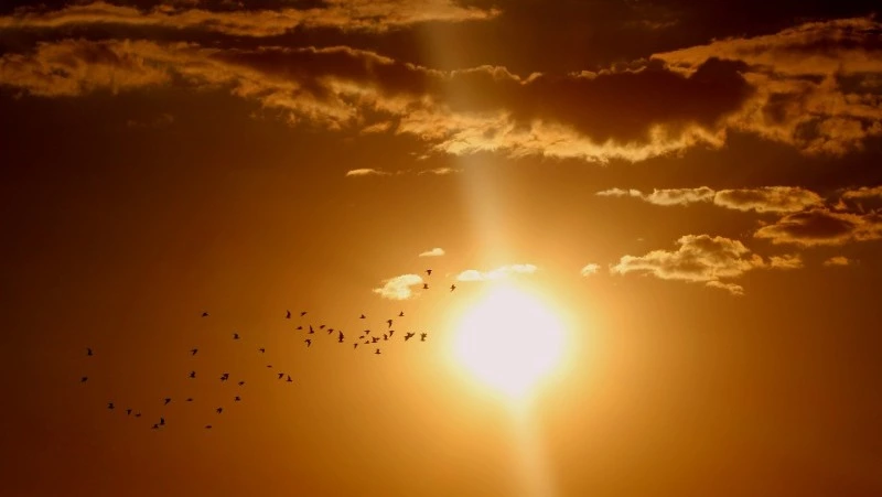 День летнего солнцестояния в 2024 году: как загадать желание, что бы оно сбылось