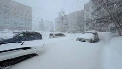 Снег и порывистый ветер: погода на Сахалине и Курилах 25 января