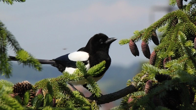 Народные приметы на 22 марта 2024 года: что нельзя делать в этот день