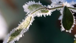 Циклон обрушит снег и ветер на Сахалин и Курилы на предстоящей неделе