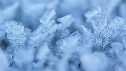 Метель и ветер до 30 м/с: прогноз погоды в Сахалинской области на 28 февраля