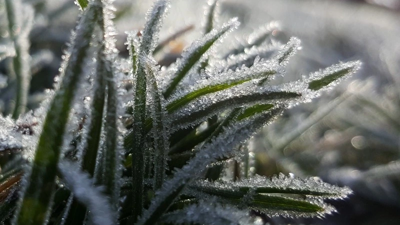 Церковный праздник 28 ноября 2023: что строго нельзя делать в этот день