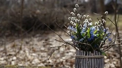 Открытки с поздравлениями на Вербное воскресенье 2024