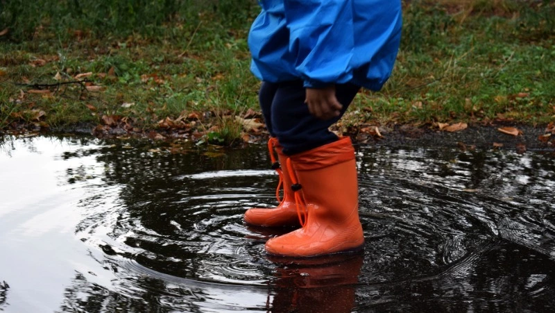 Порывистый ветер и дождь ожидаются на Сахалине и Курилах 17 мая