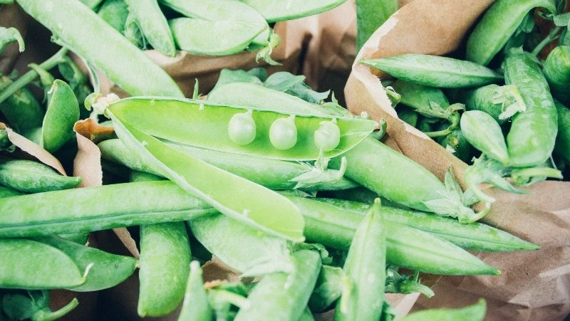 Народные приметы на 9 мая 2024 года — что нельзя делать в этот день