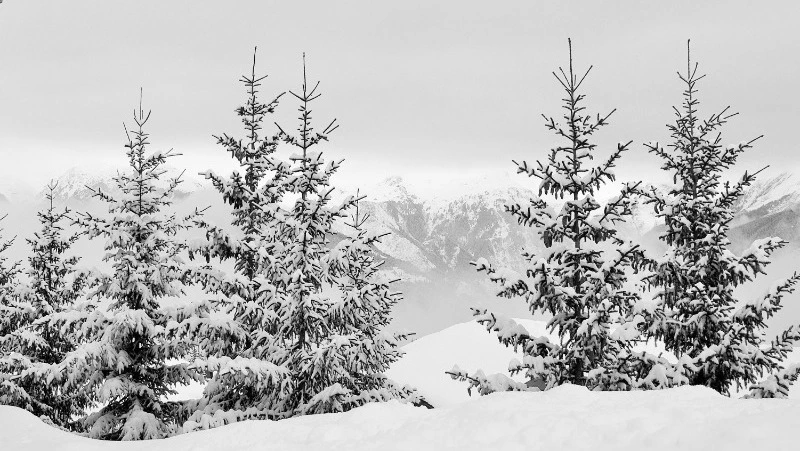 Церковный праздник 6 февраля 2024 года: что строго нельзя делать в этот день