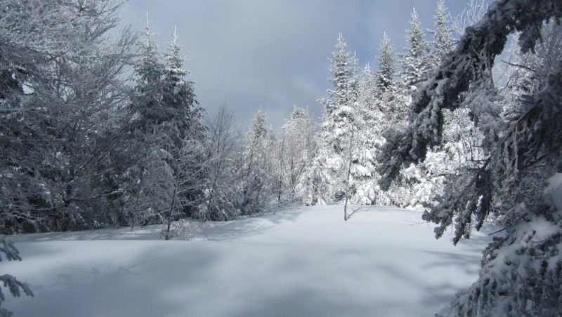Небольшой снег и ветер ожидаются на Сахалине и Курилах 8 февраля