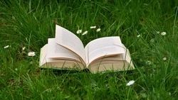 У вас «титановые» знания, если осилите 10/10 вопросов — ТЕСТ 