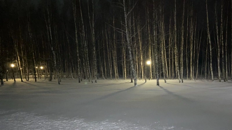 Небольшой снег ожидается на Сахалине и Курилах 31 января