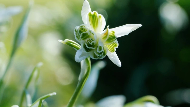 Народные приметы на 23 февраля 2024 года: что нельзя делать в этот день