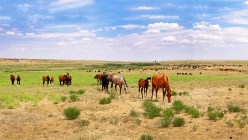 Какой сегодня праздник: что было 5 апреля