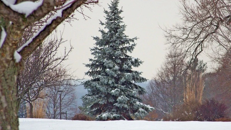 Народные приметы на 30 декабря 2023 года: что нельзя делать в этот день