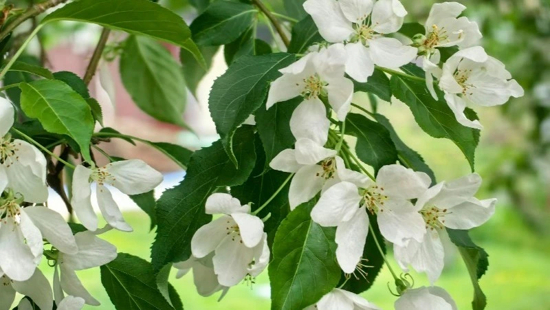 Народные приметы на 15 июня 2024 года: что нельзя делать в этот день