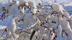 Народные приметы на 2 января 2024 года: что нельзя делать в этот день