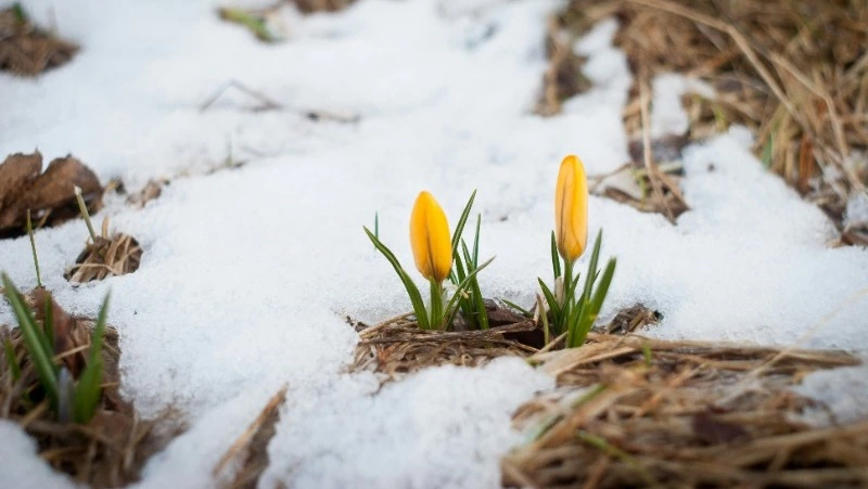 Народные приметы на 20 марта 2024 года: что нельзя делать в этот день