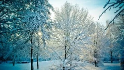 Народные приметы на 29 декабря  2023 года: что нельзя делать в этот день