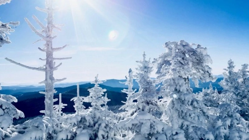 Народные приметы на 23 января 2024 года: что нельзя делать в этот день