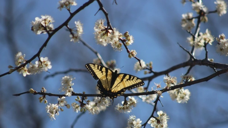 Народные приметы на 5 апреля 2024 года — что нельзя делать в этот день