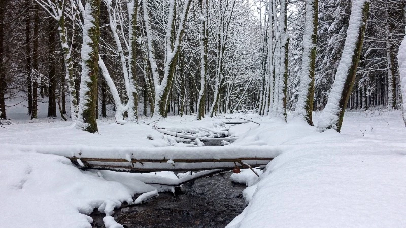 Погода в Северо-Курильске и Сахалинской области на 30 ноября: снег и сильный ветер