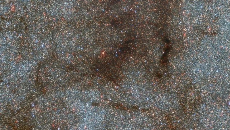 Гороскоп от Павла Глобы с 19 по 25 февраля: кого ждет удача на предстоящей неделе